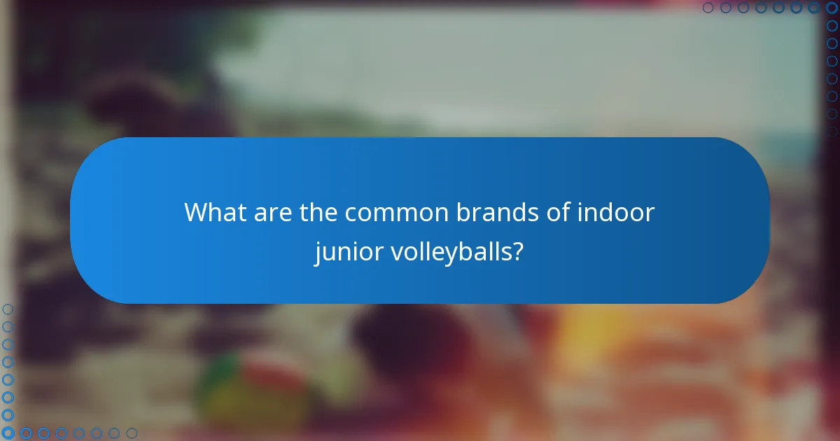What are the common brands of indoor junior volleyballs?