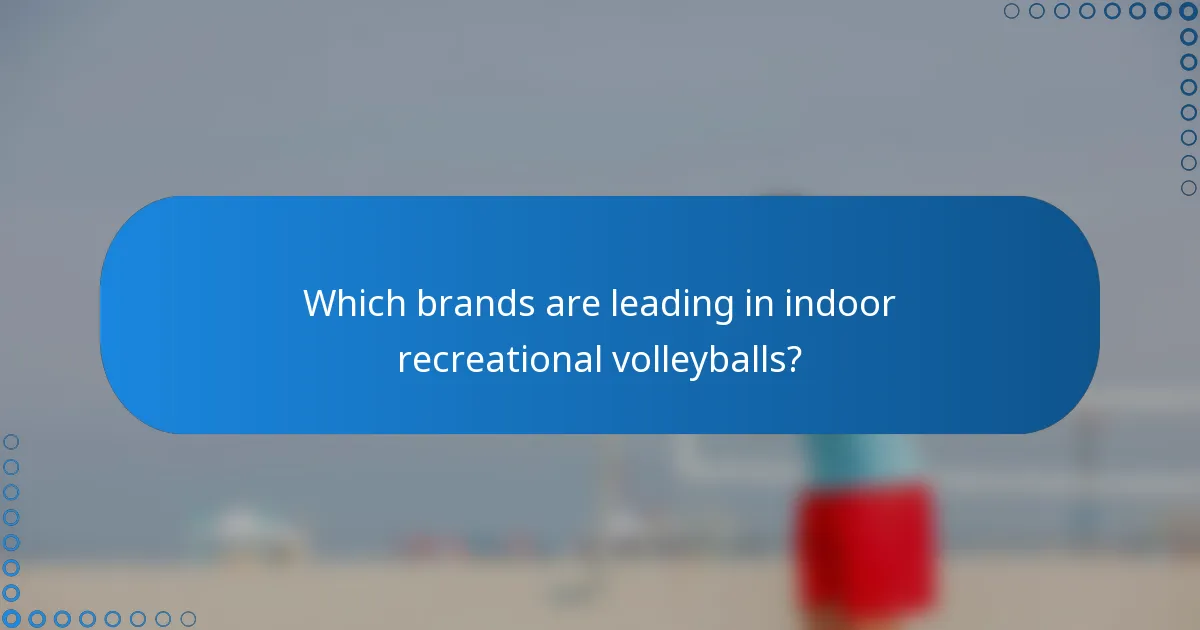 Which brands are leading in indoor recreational volleyballs?