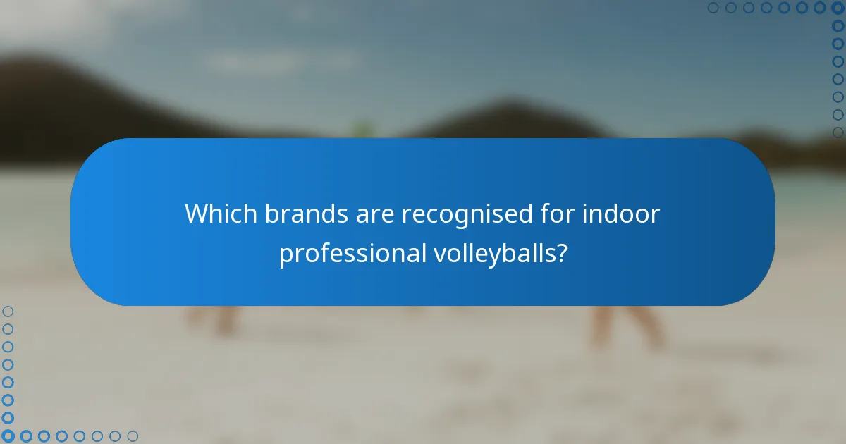 Which brands are recognised for indoor professional volleyballs?