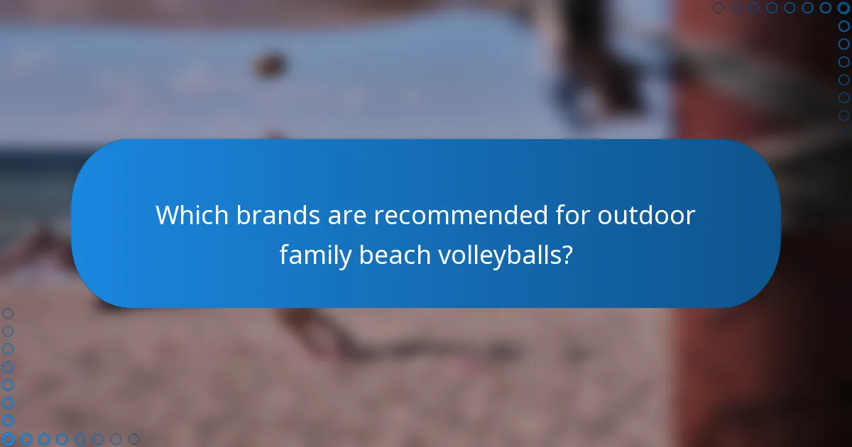 Which brands are recommended for outdoor family beach volleyballs?