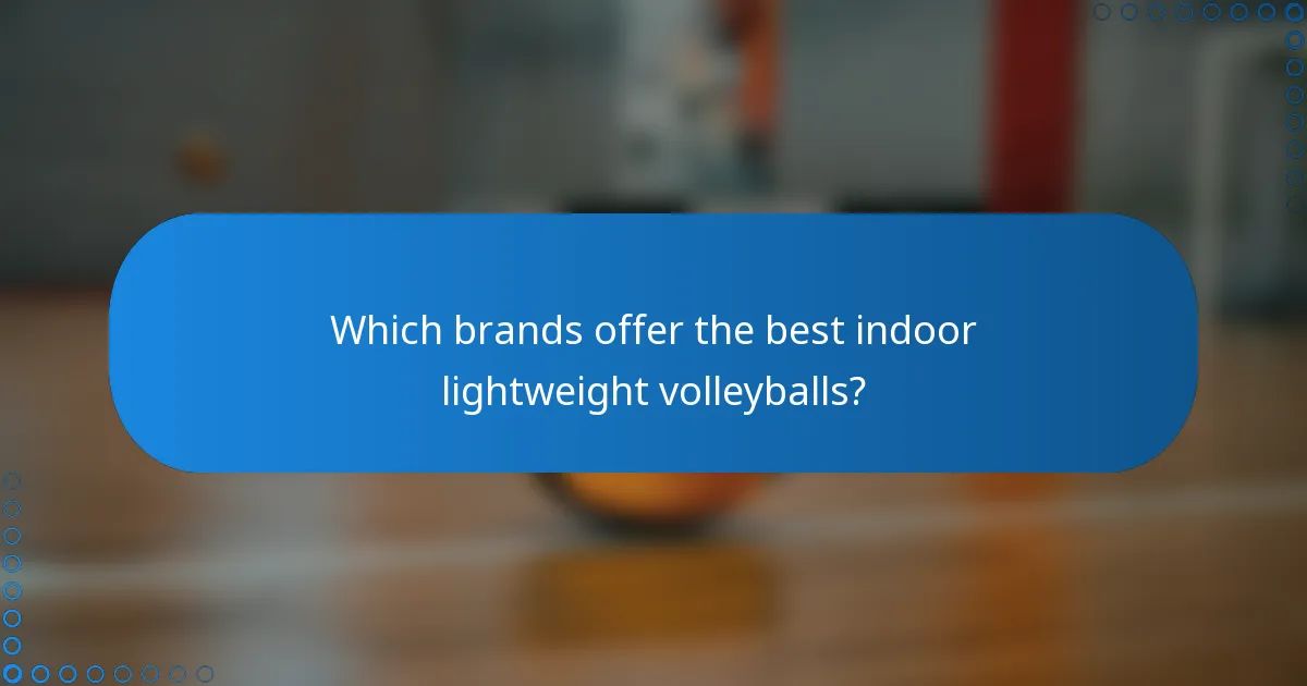 Which brands offer the best indoor lightweight volleyballs?