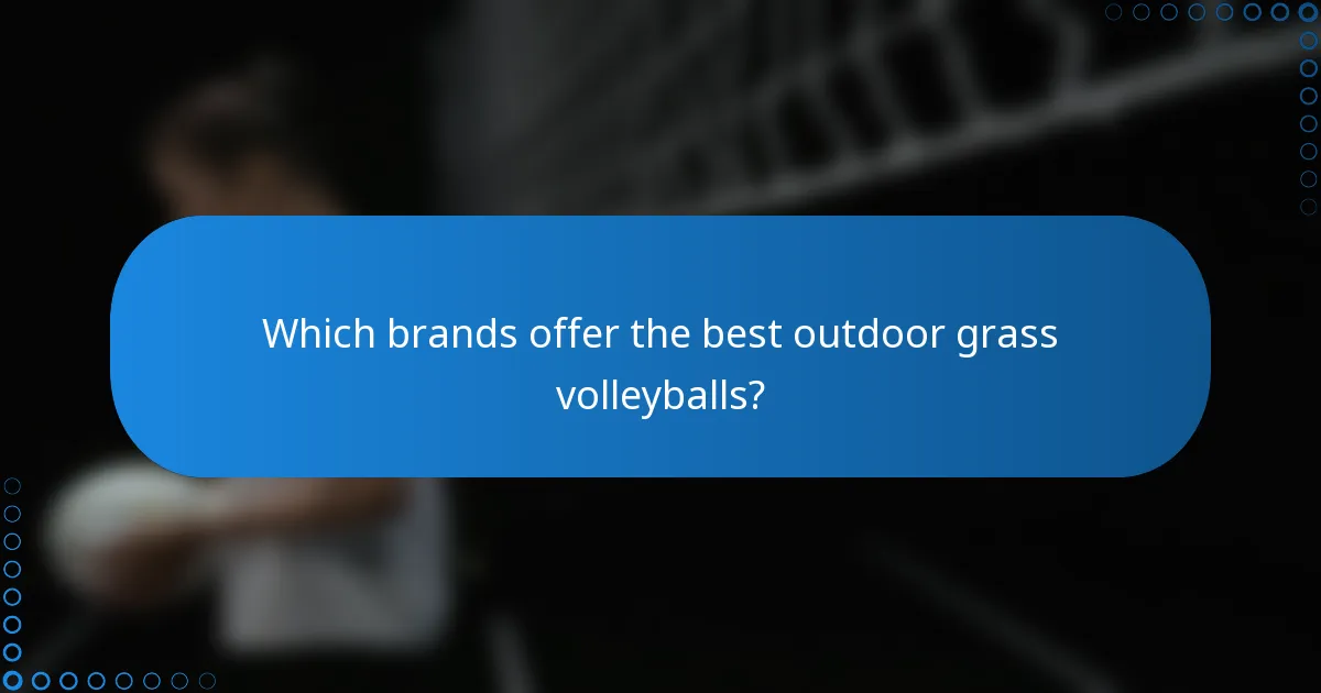 Which brands offer the best outdoor grass volleyballs?